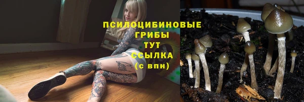 прущая мука Абаза