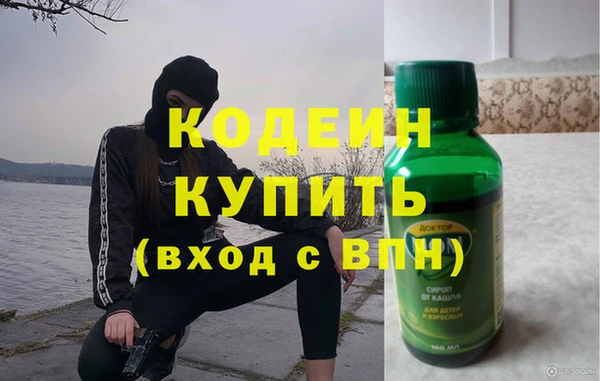 прущие грибы Рославль