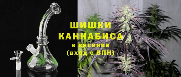 прущие грибы Рославль