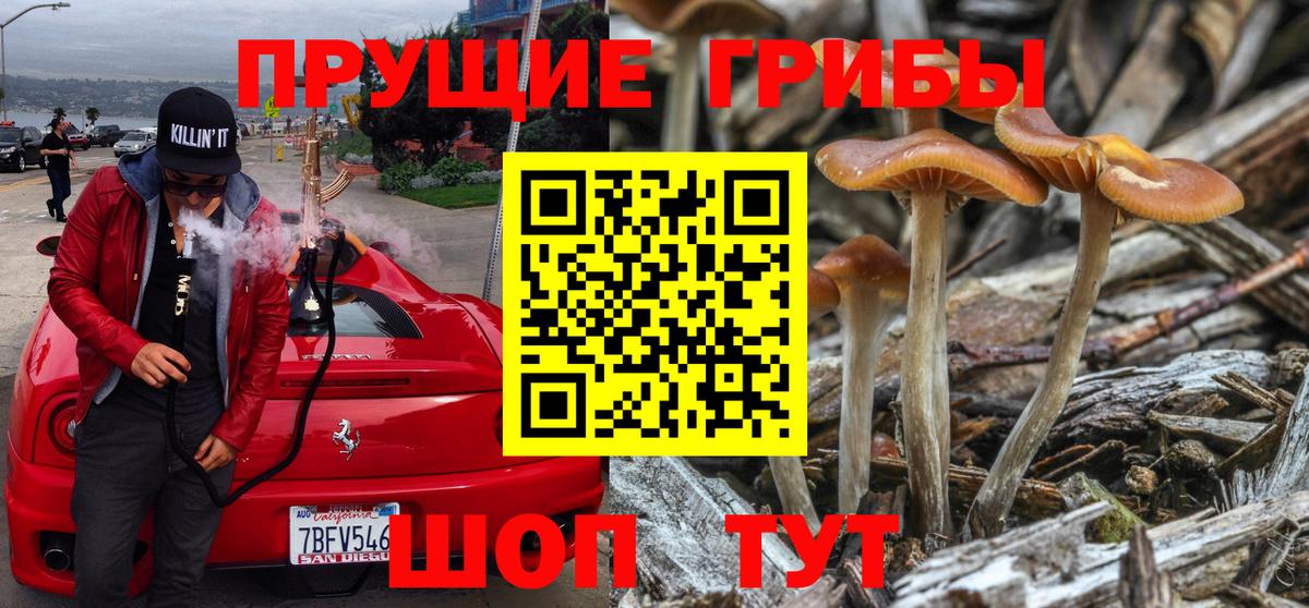 сколько стоит  Псилоцибиновые грибы мухоморы  Вход с VPN  Сафоново  Псилоцибиновые грибы ЛСД 