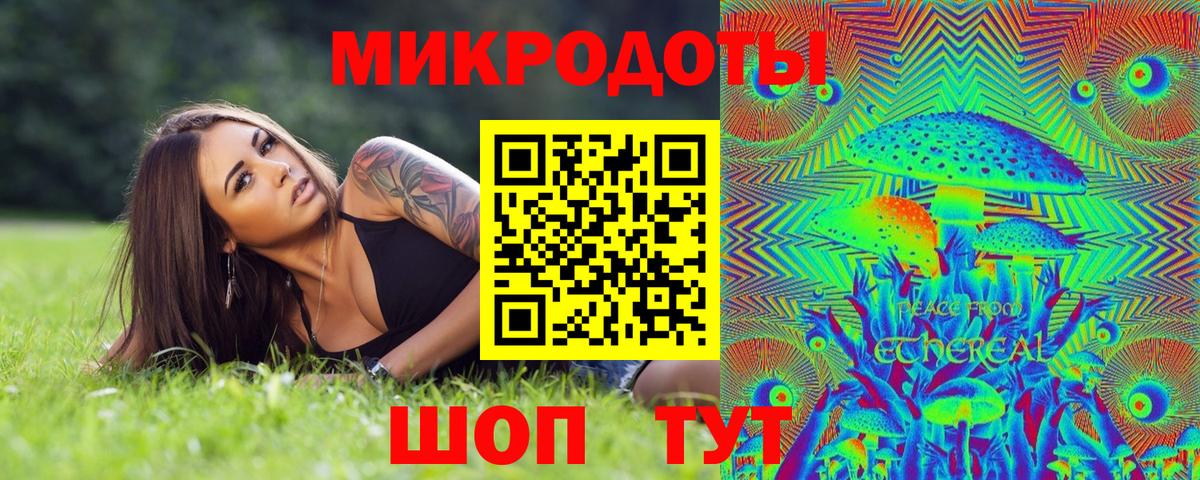 Псилоцибиновые грибы Psilocybine cubensis Сафоново
